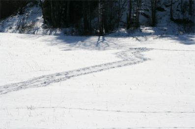 ZHR har landat.