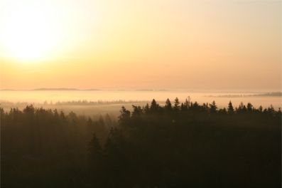 Solen över skogen