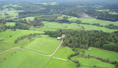 Bodane