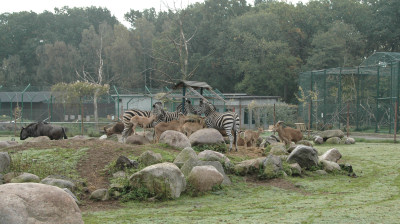 Djurpark