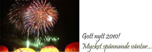 Gott nytt år!