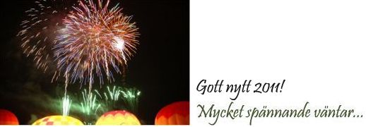 Gott nytt år