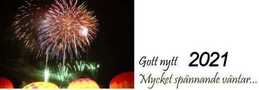 Gott nytt år